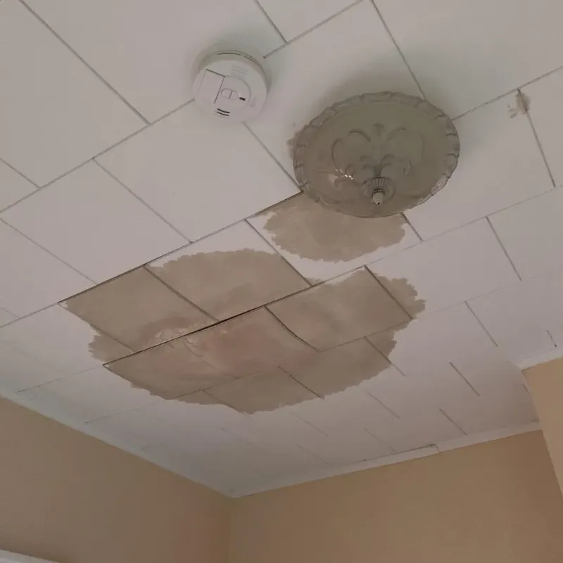 Ceiling Water Damage Repair in Greeley, NE